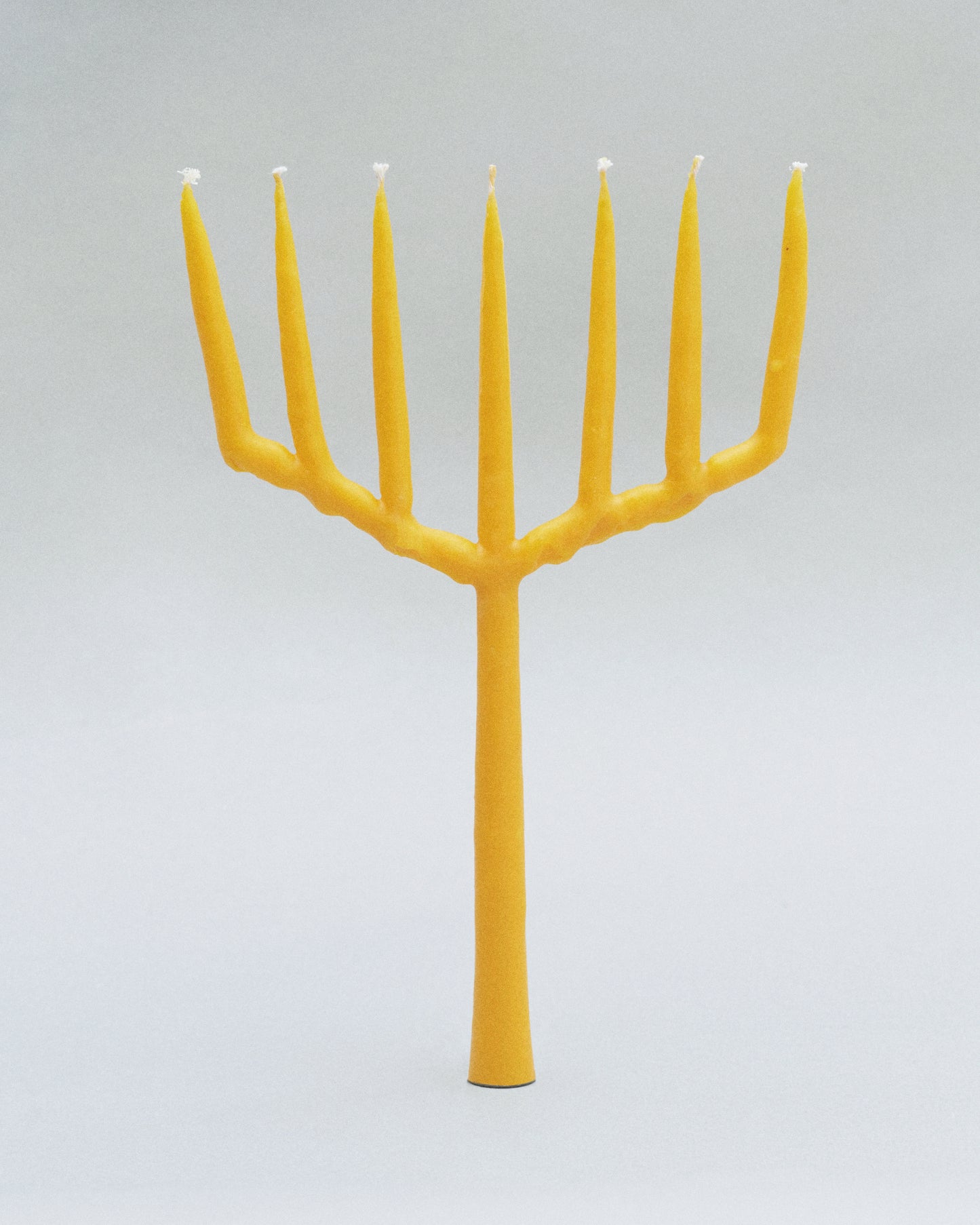 Купіть виріб ручної роботи Candle Rakes від Nadiia World. Ідеальний вибір для додавання вишуканості та шарму до вашого житлового простору або колекції особистих аксесуарів.