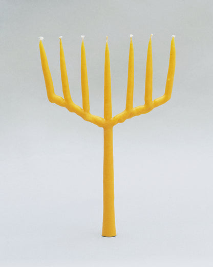 Купіть виріб ручної роботи Candle Rakes від Nadiia World. Ідеальний вибір для додавання вишуканості та шарму до вашого житлового простору або колекції особистих аксесуарів.