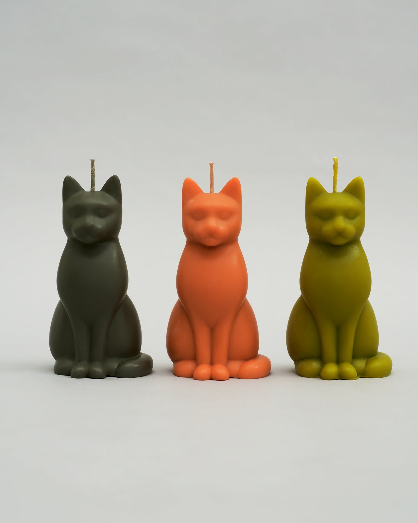 Cat Candle in "Nosyk"