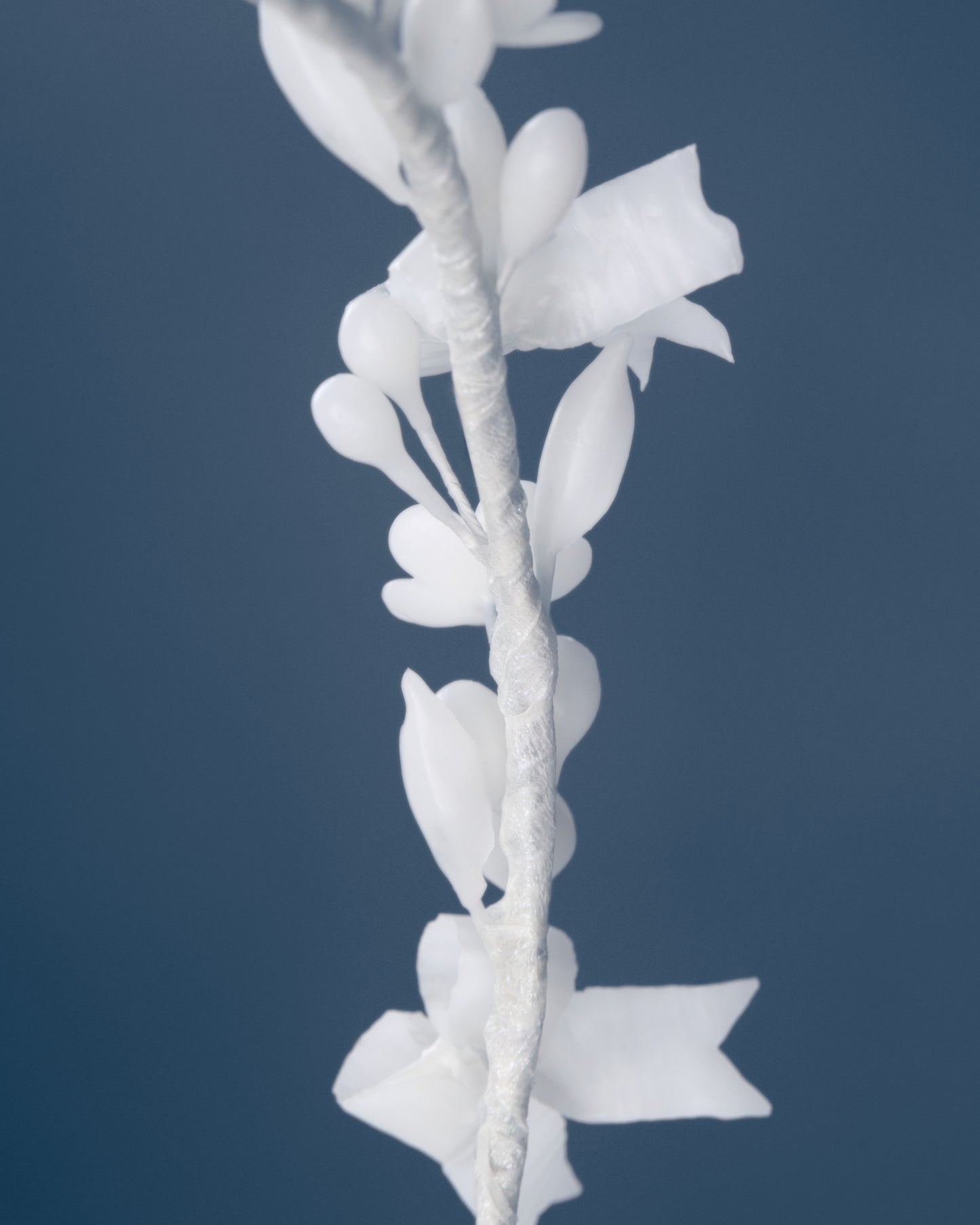 Wax Wreath “Bows in Bloom”