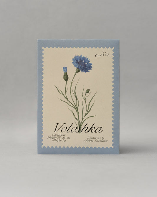 Cornflower seeds "Voloshka"